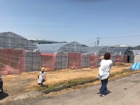 仙台市 ハナヘナ 美容室