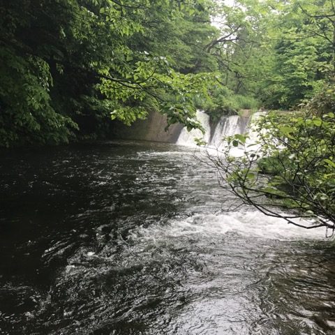 ヘアドネーション 仙台市