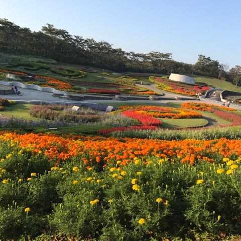 仙台 ハナヘナ