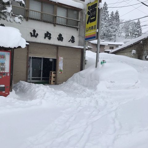 仙台 ハナヘナ 美容室