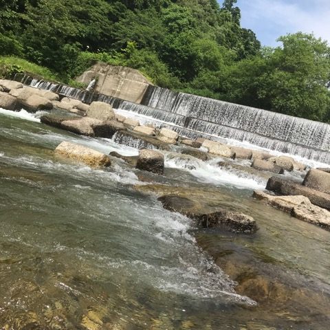 仙台 ハナヘナ 美容室